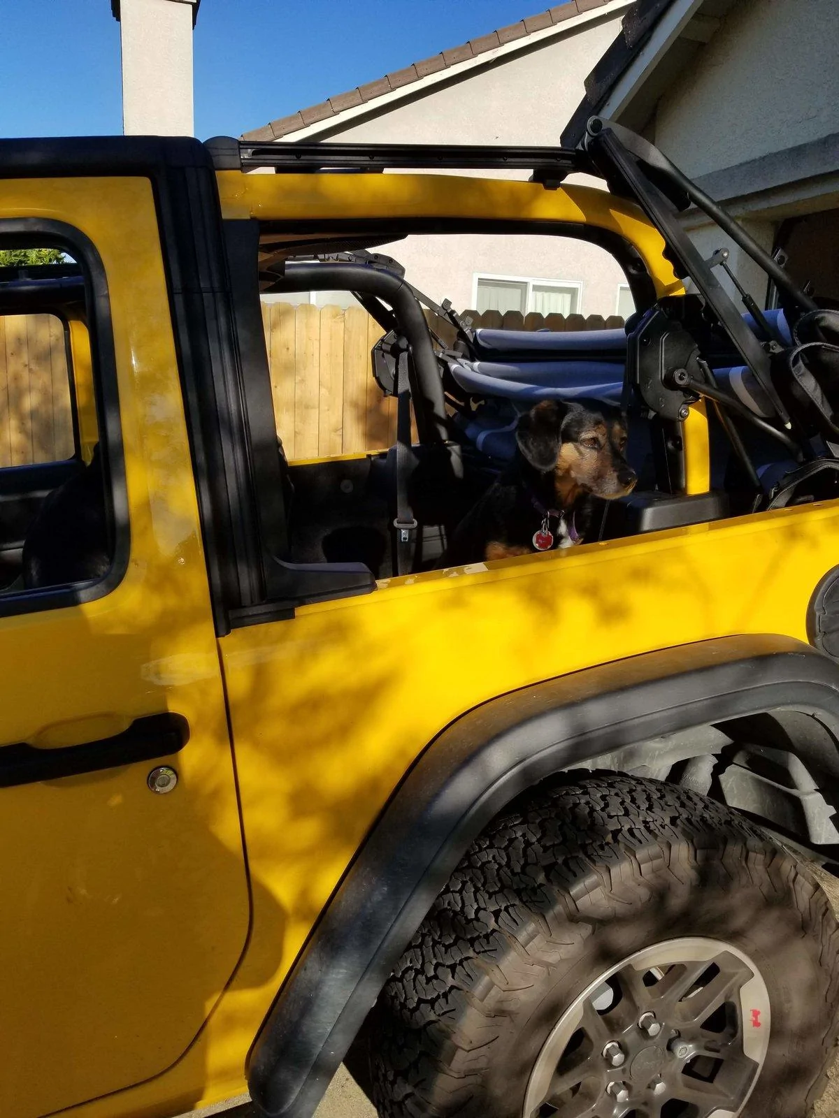 Jeep Wrangler JL Jeep Dog pics 20190417_180745