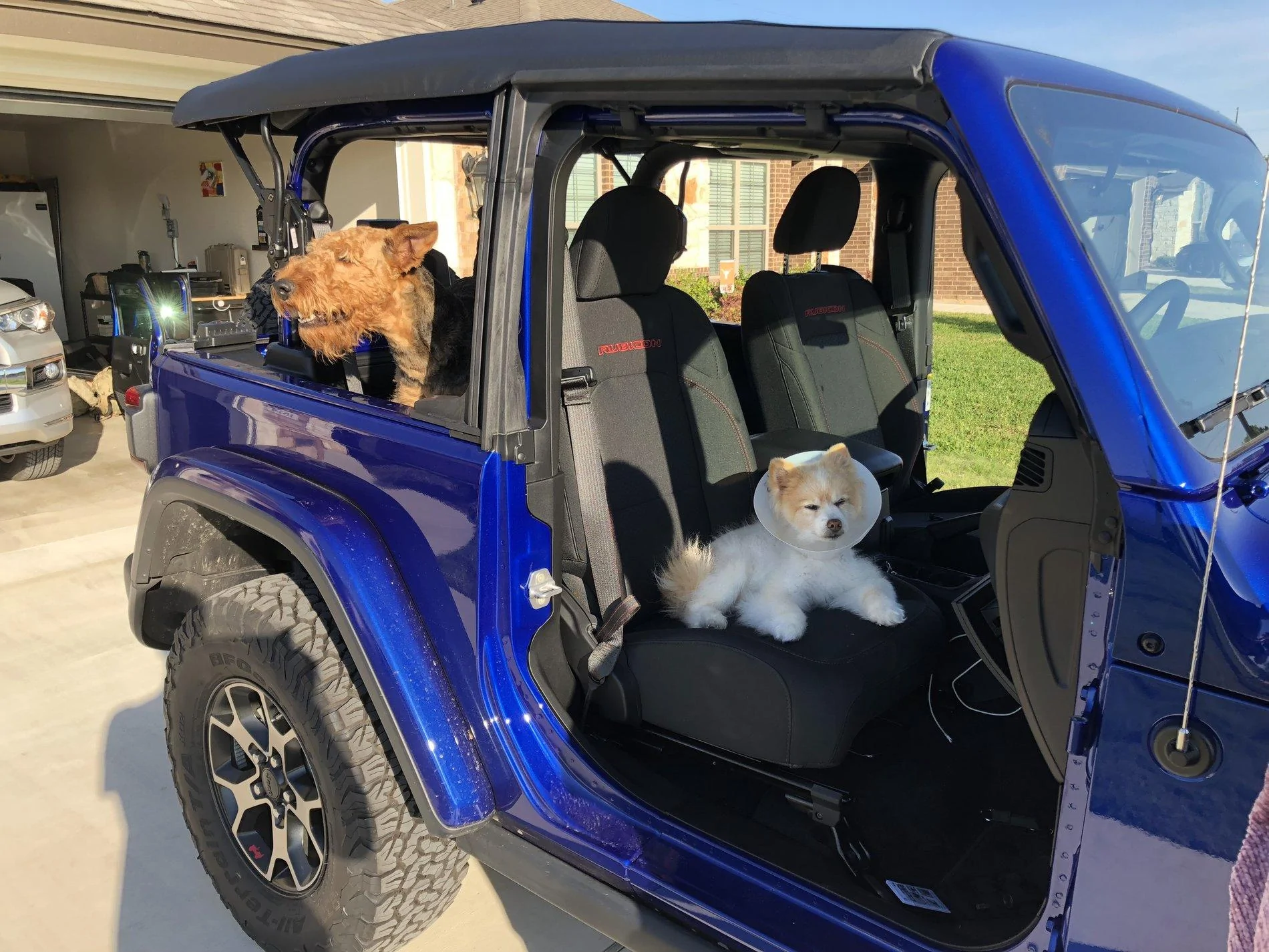 Jeep Wrangler JL Jeep Dog pics 0C6BFF43-91A2-46D6-A87C-CDF87ACE6A14