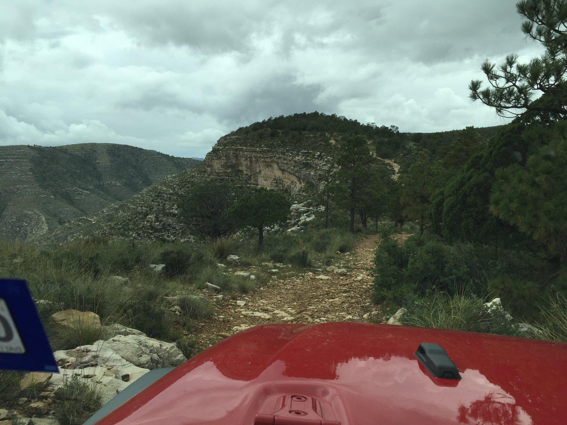 Jeep Wrangler JL Wheeling Stock - Let's See the Pics img_3516-