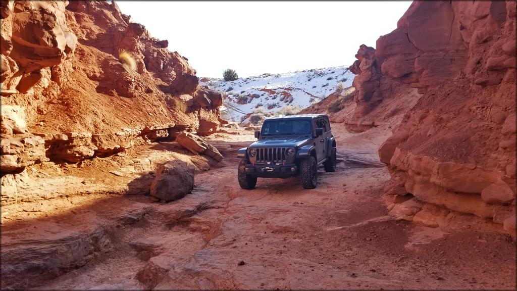Jeep Wrangler JL Wheeling Stock - Let's See the Pics 110