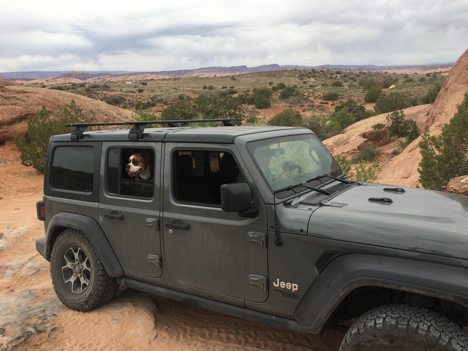 Jeep Wrangler JL Wheeling Stock - Let's See the Pics 28D44C4D-955F-4CE1-BCBC-398935F5B70D