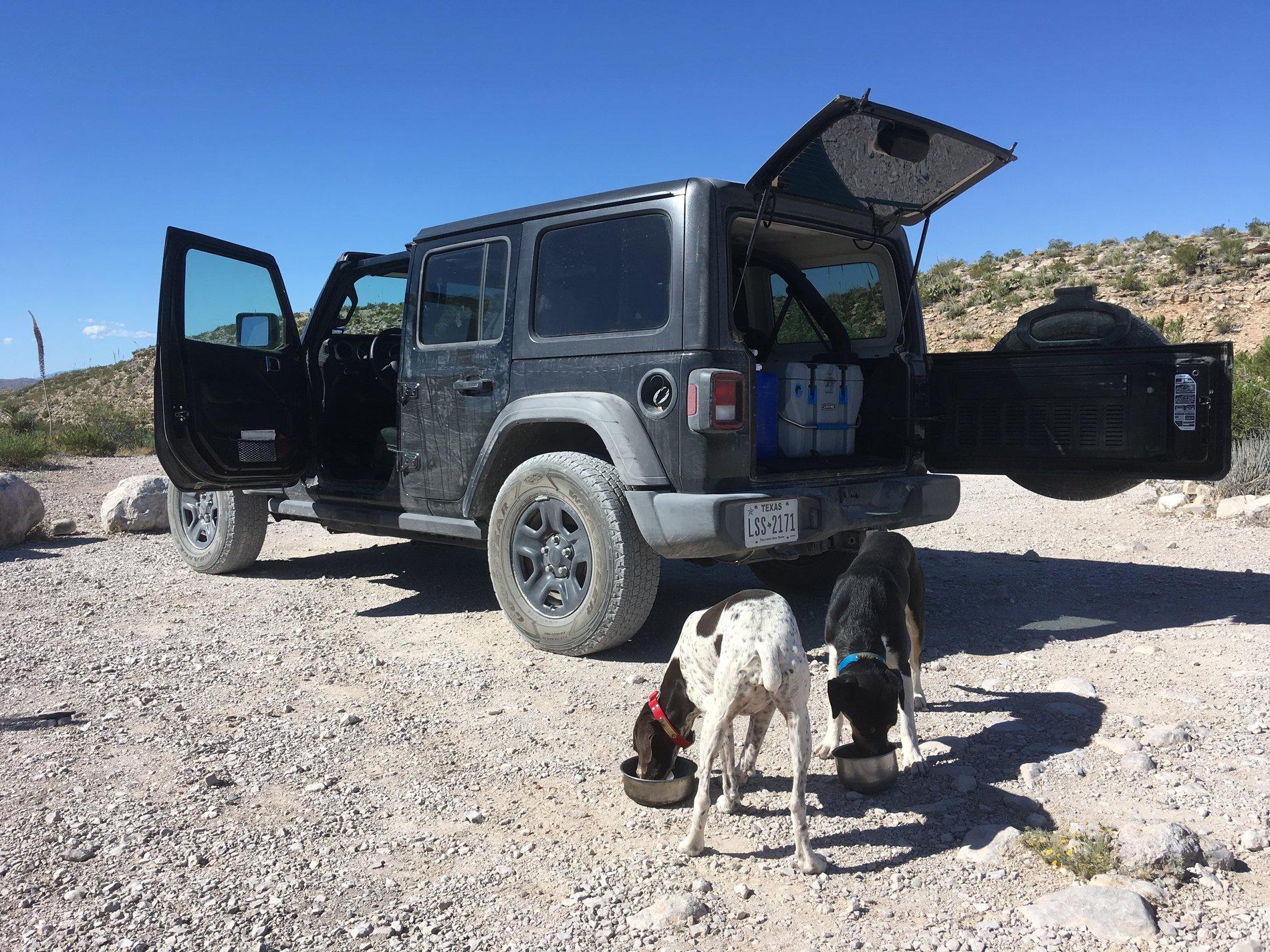 Jeep Wrangler JL Wheeling Stock - Let's See the Pics CB7928E1-D784-455E-9443-CFAE6AC0DC36