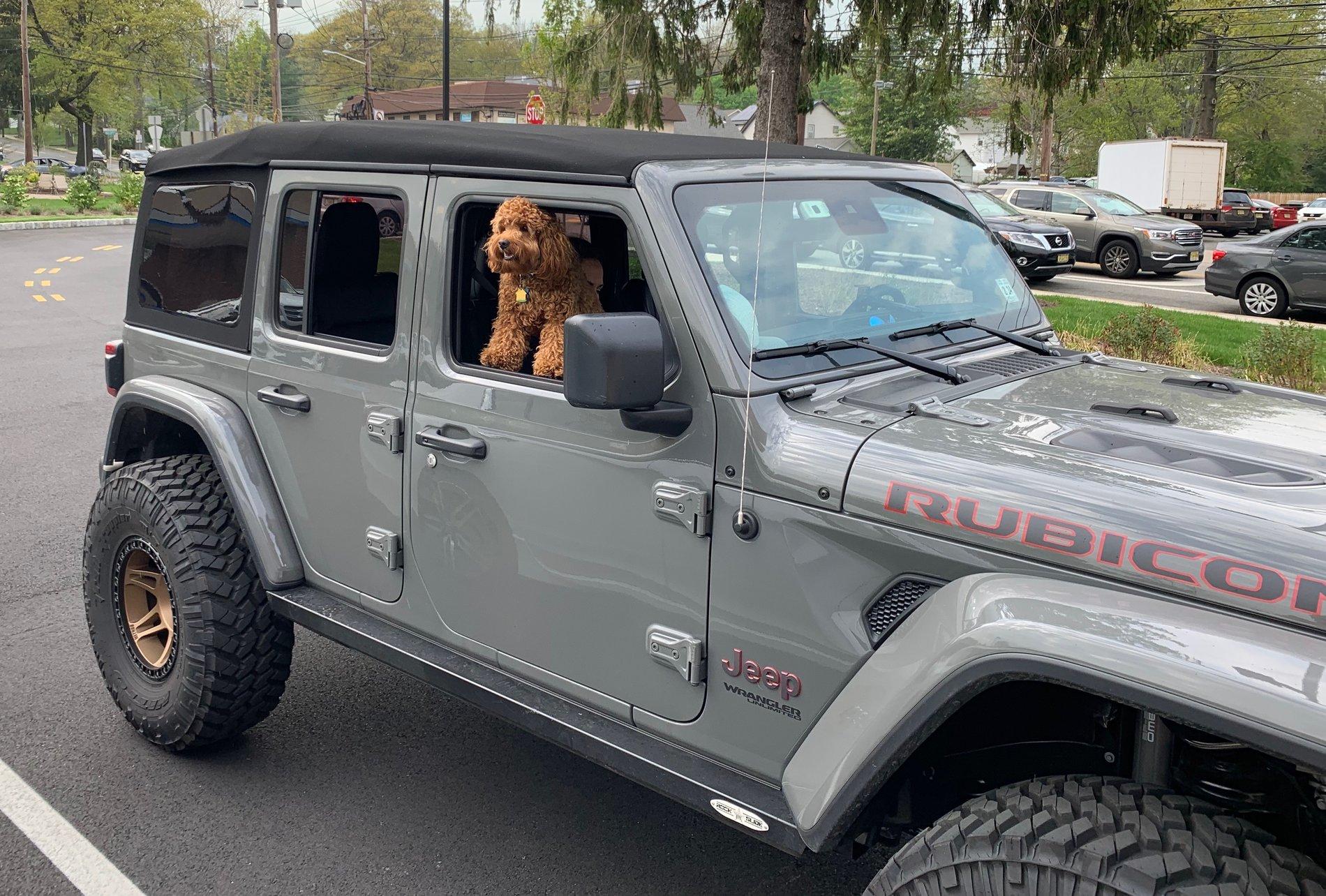 Jeep Wrangler JL Jeep Dog pics IMG_5483