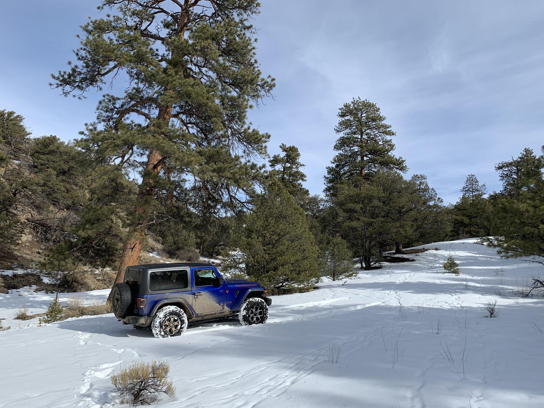 Jeep Wrangler JL Wheeling Stock - Let's See the Pics 6CAA6ADC-F83F-42CF-A5AF-9F006FC89144