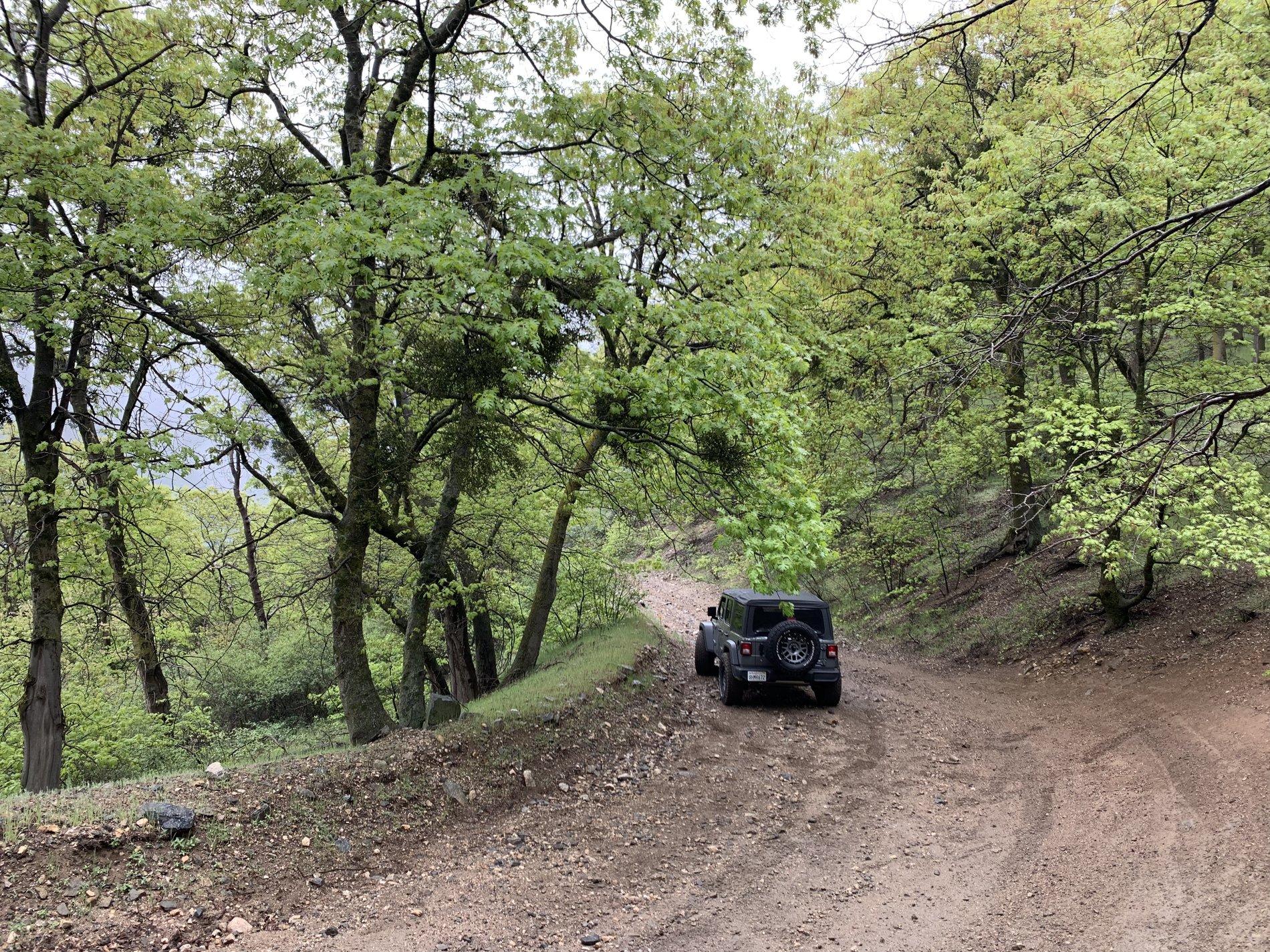 Jeep Wrangler JL Any meet for beginners? 35DA2510-2C3B-4FBE-A738-87205D8B8976