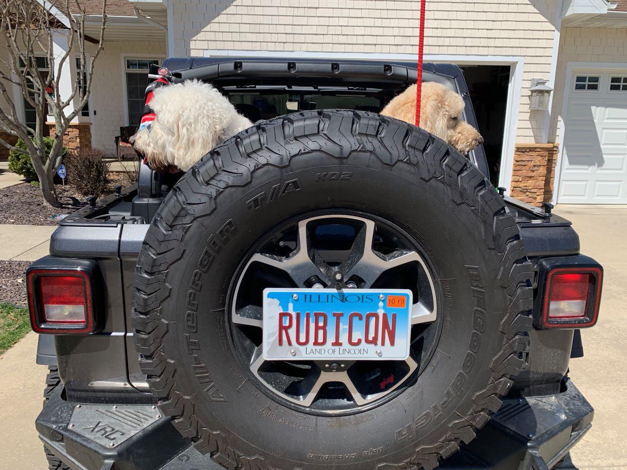 Jeep Wrangler JL Jeep Dog pics IMG_1173