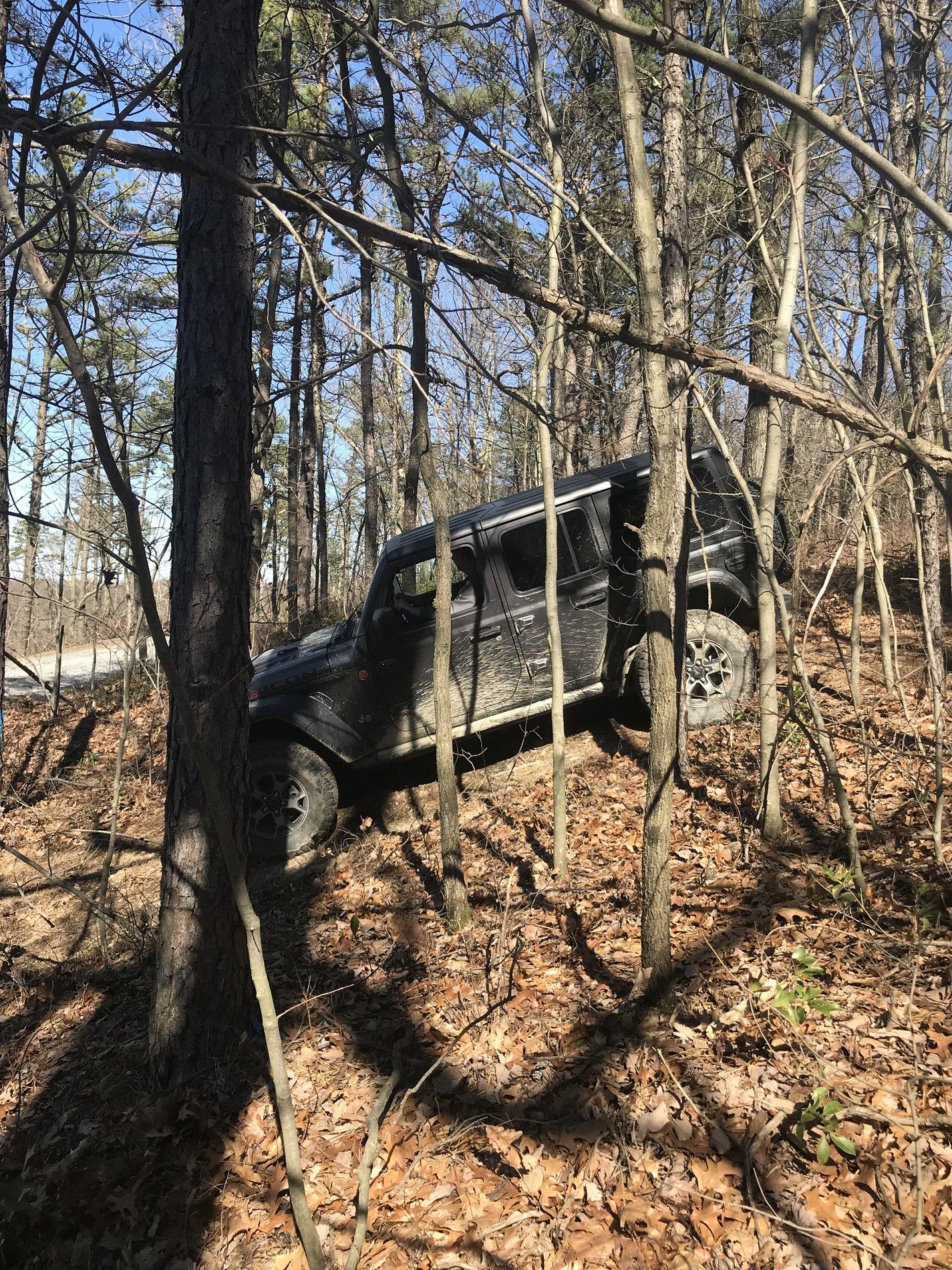 Jeep Wrangler JL Jeep humor waiting room ( ** NO POLITICS ** ) 115FC7E2-CE93-47EE-8E57-0D78FD67264F