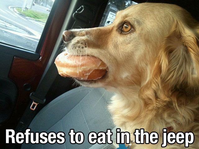 Jeep Wrangler JL Jeep humor waiting room ( ** NO POLITICS ** ) Dog-with-Manners