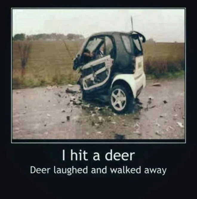 Jeep Wrangler JL Jeep humor waiting room ( ** NO POLITICS ** ) 33C4D0CD-6FBB-4D8C-93FA-C1B7B826517F