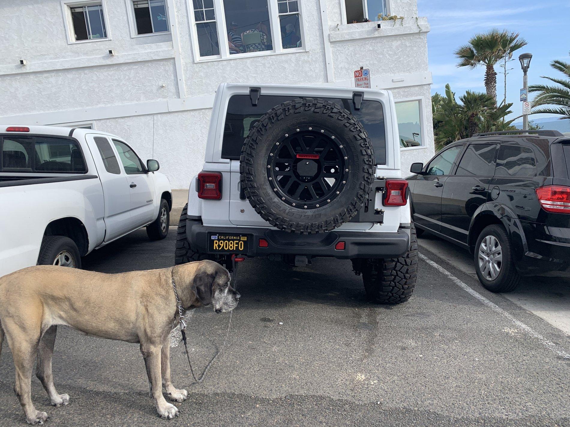 Jeep Wrangler JL Jeep Dog pics 6D1684E0-073A-401E-941C-FD126A0291DE