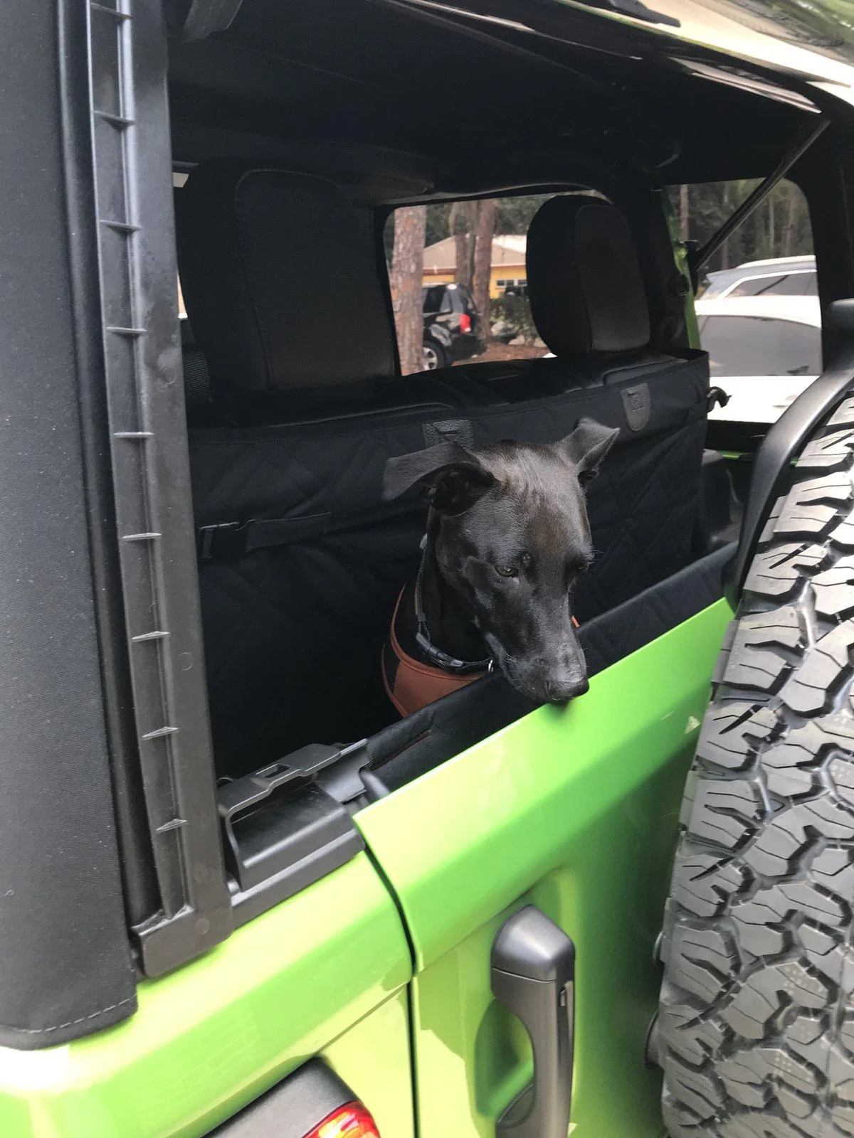 Jeep Wrangler JL Jeep Dog pics 16512678-4C69-4487-A576-CF0B58AD57EE