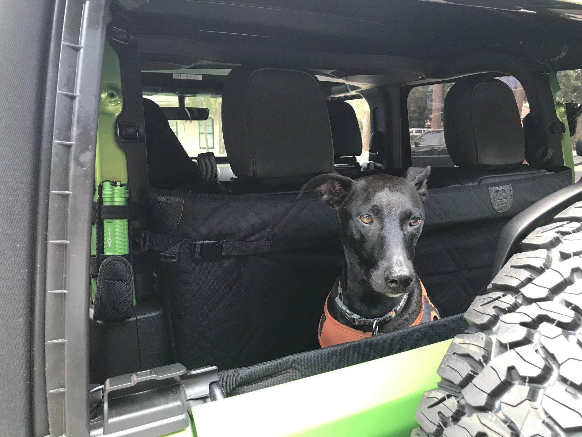 Jeep Wrangler JL Jeep Dog pics 86FA41A1-631E-472D-B65E-D4A9523CCF0B