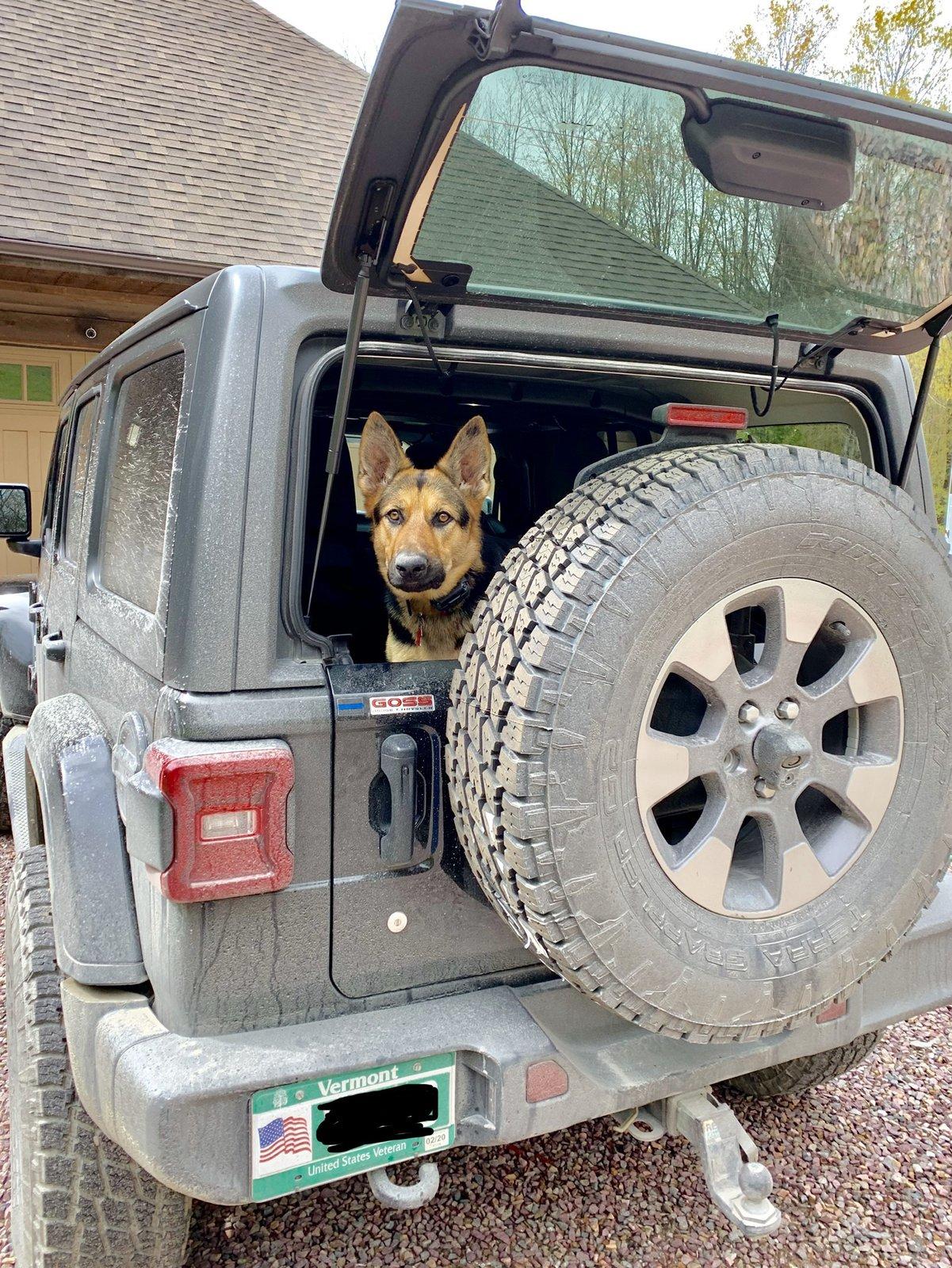 Jeep Wrangler JL Jeep Dog pics 2B9F26D2-DDC2-4302-A86E-25162F231FB2
