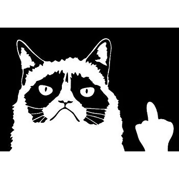 Jeep Wrangler JL In Remembrance....Grumpy Cat E261B409-0B56-4B9B-9EC7-C622FCE3187A