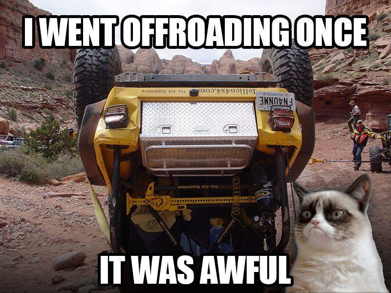 Jeep Wrangler JL In Remembrance....Grumpy Cat 635369B4-4632-453F-A7B3-2BB9D2E86704