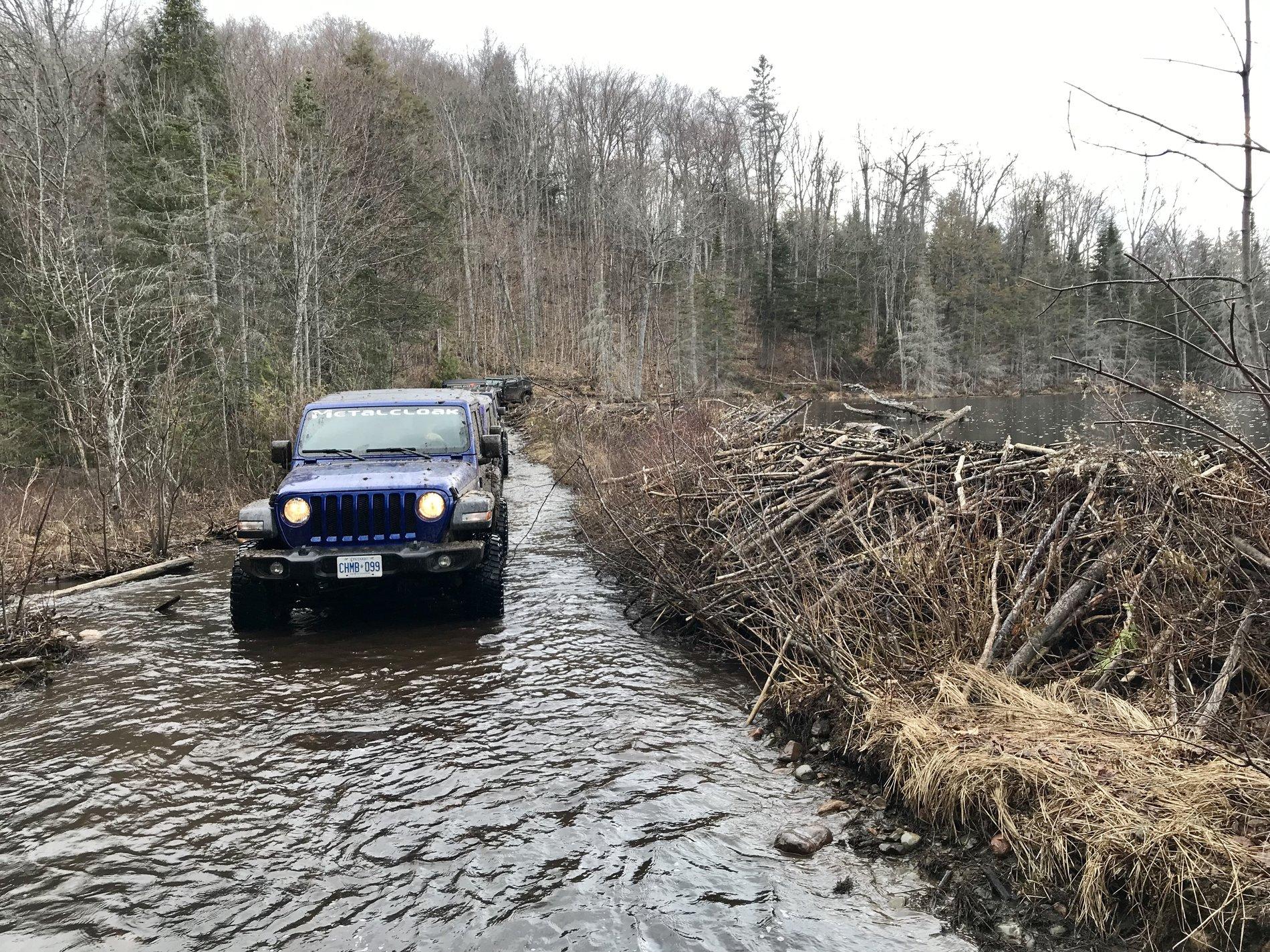 Jeep Wrangler JL The Non-Rubicon Jl & JLU Thread 257D278C-ACA8-436D-86BC-F0DA547FF305