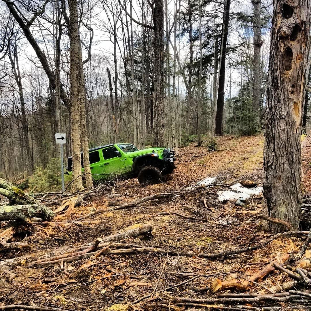 Jeep Wrangler JL The Non-Rubicon Jl & JLU Thread 3B2C7E8E-6F6E-4043-A369-6B9F18D31686