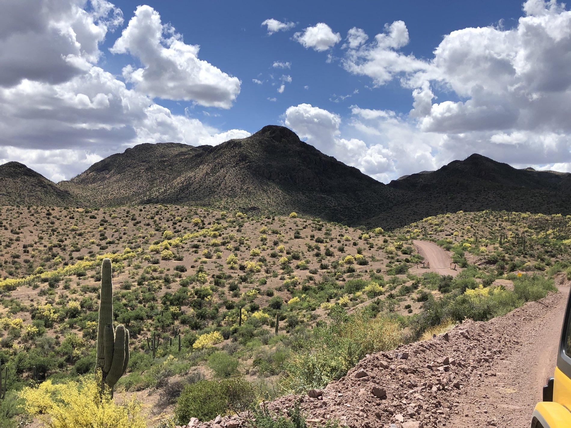 Jeep Wrangler JL Arizona Trail Run Thread 5AD0A881-D5B9-4A64-B4CA-FBD0F7375059