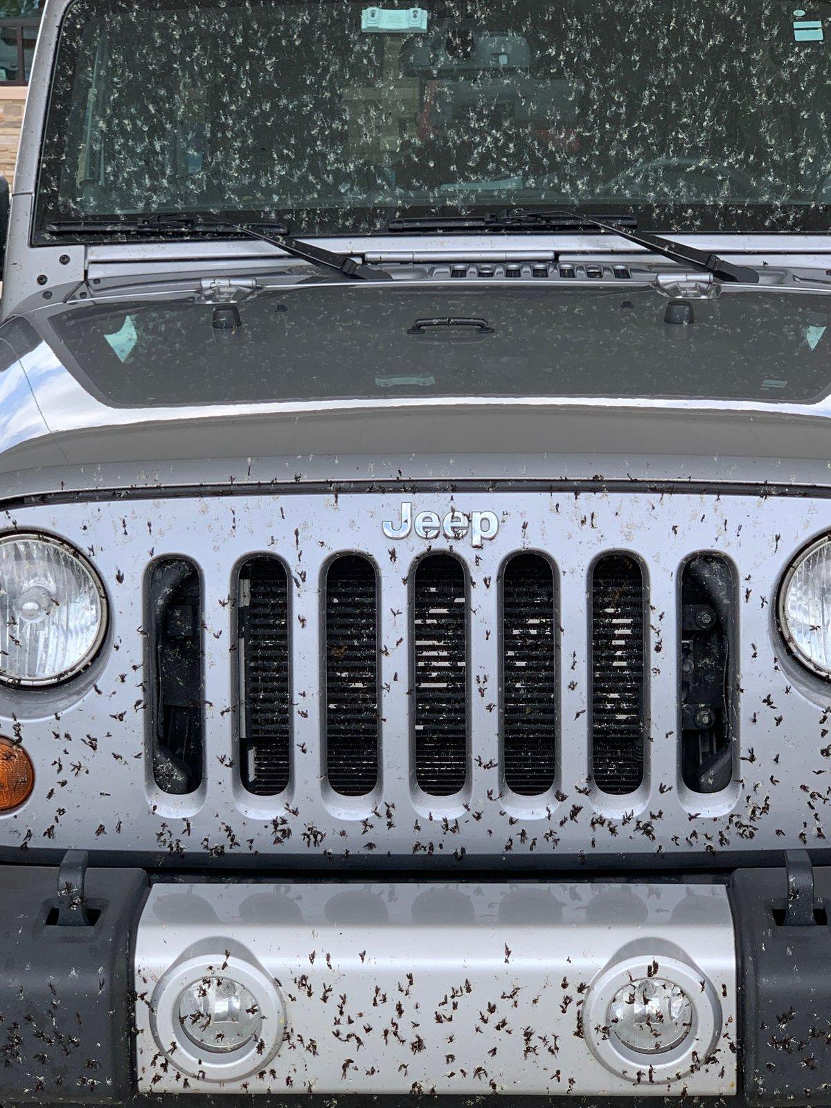 Jeep Wrangler JL BUG SPLATTER! IMG_2561