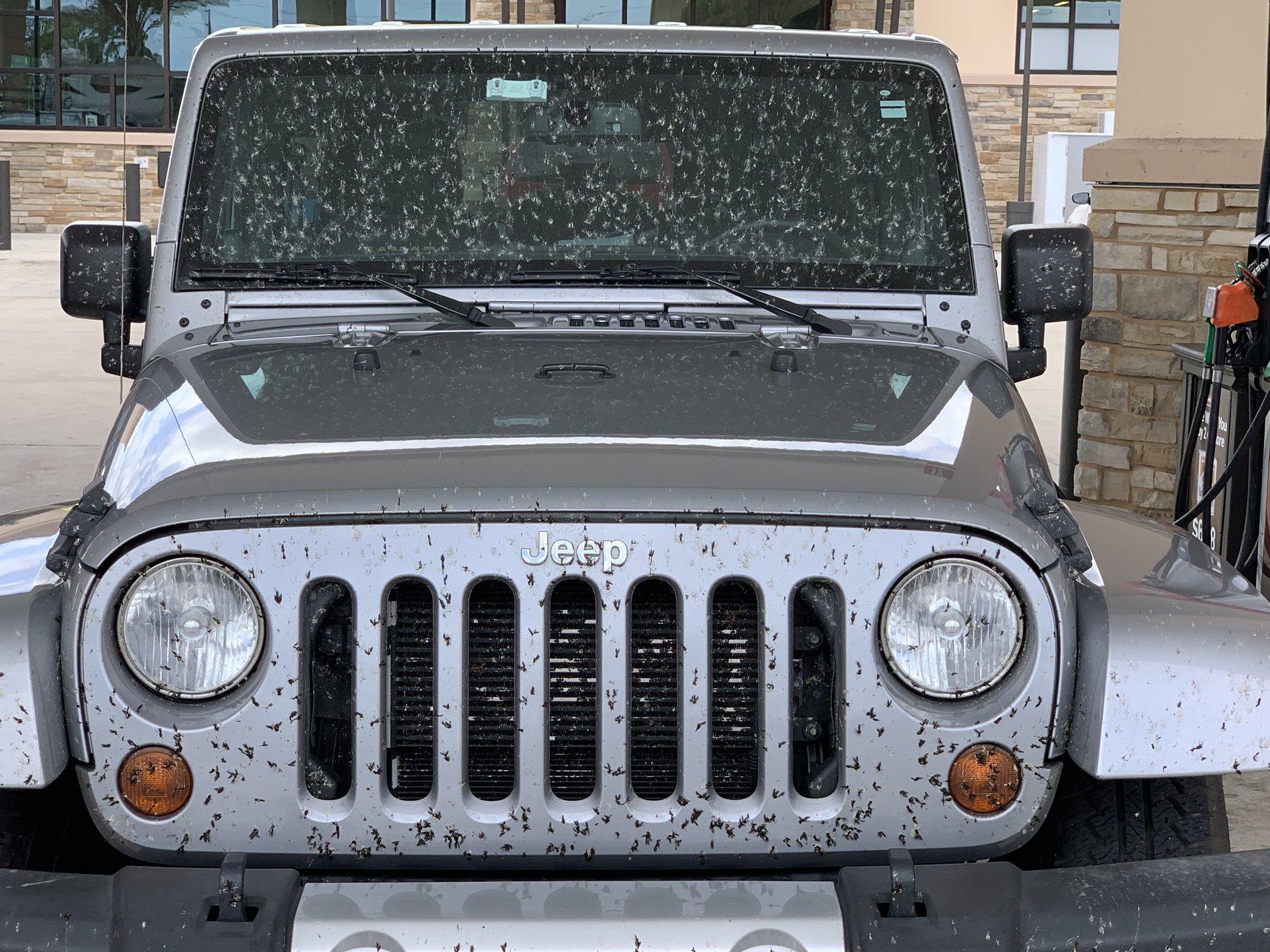 Jeep Wrangler JL BUG SPLATTER! IMG_2562