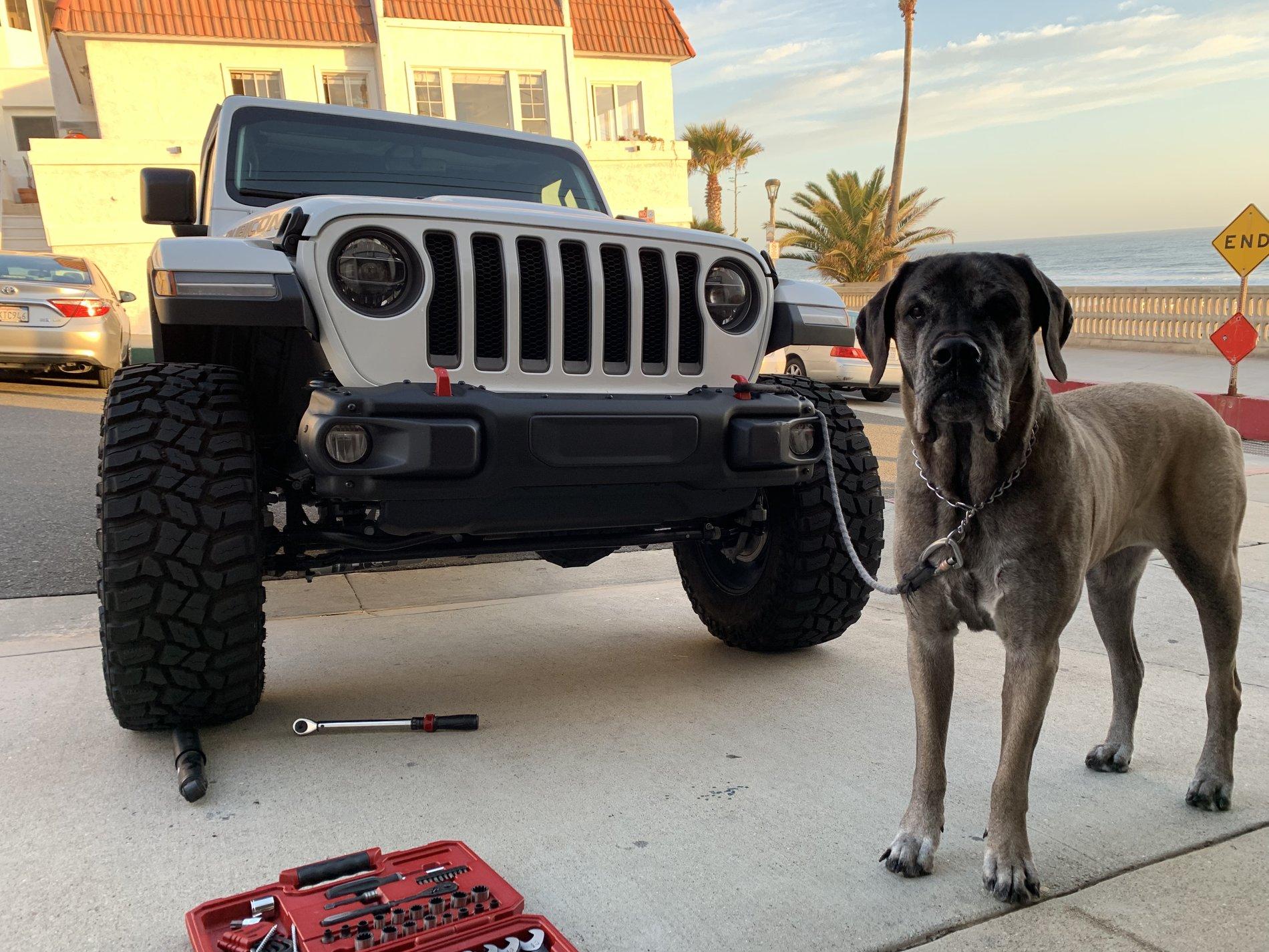 Jeep Wrangler JL Jeep Dog pics 71774F8D-2F2B-4548-911C-D3E512197DAF
