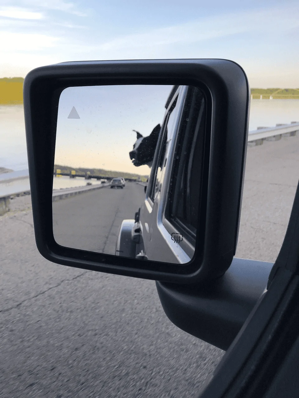 Jeep Wrangler JL Jeep Dog pics jeep dog