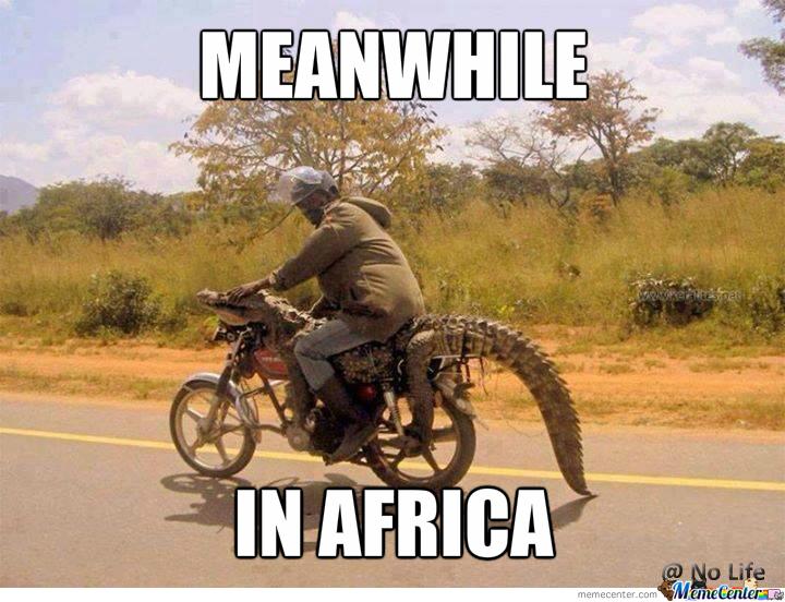 Jeep Wrangler JL Park much? meanwhile-in-africa_o_2163033