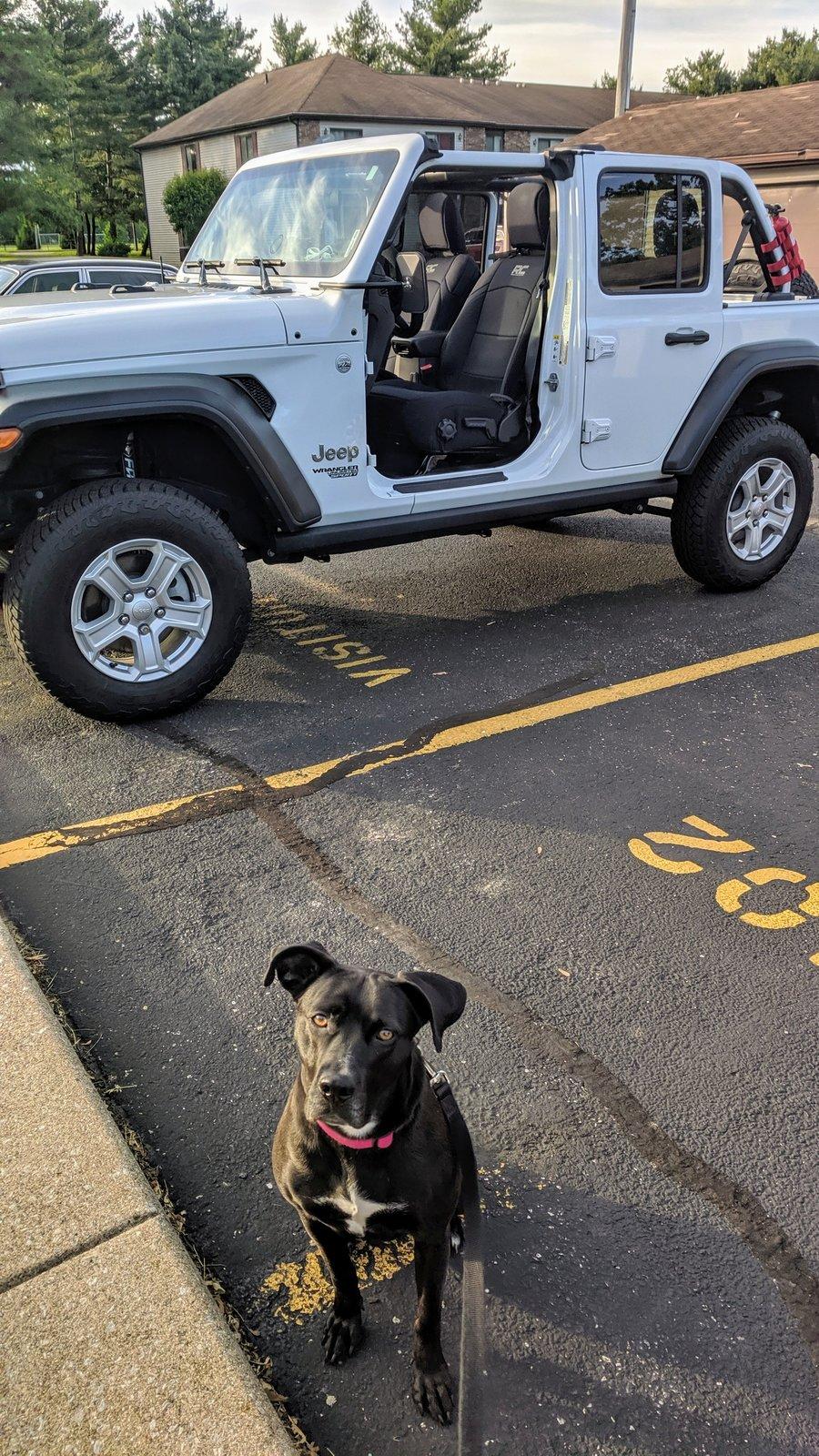 Jeep Wrangler JL Jeep Dog pics IMG_20190530_193759