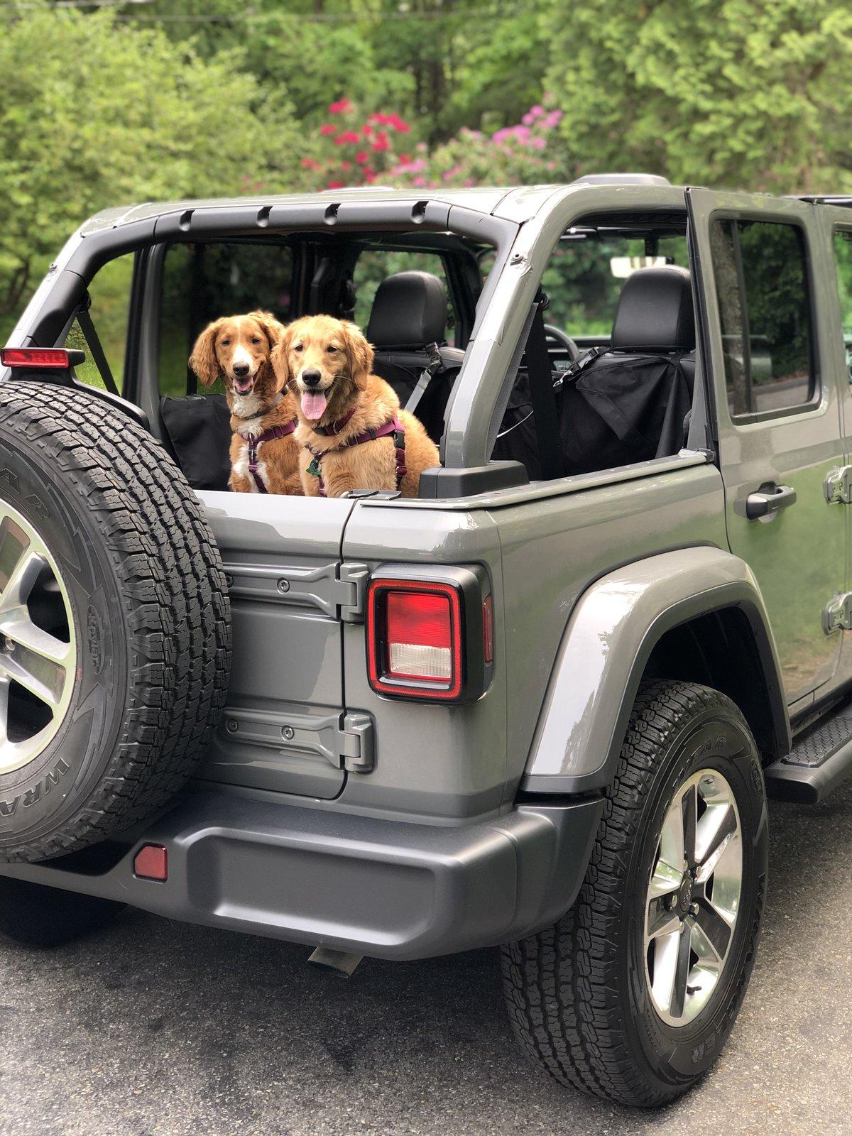Jeep Wrangler JL Jeep Dog pics IMG_4051