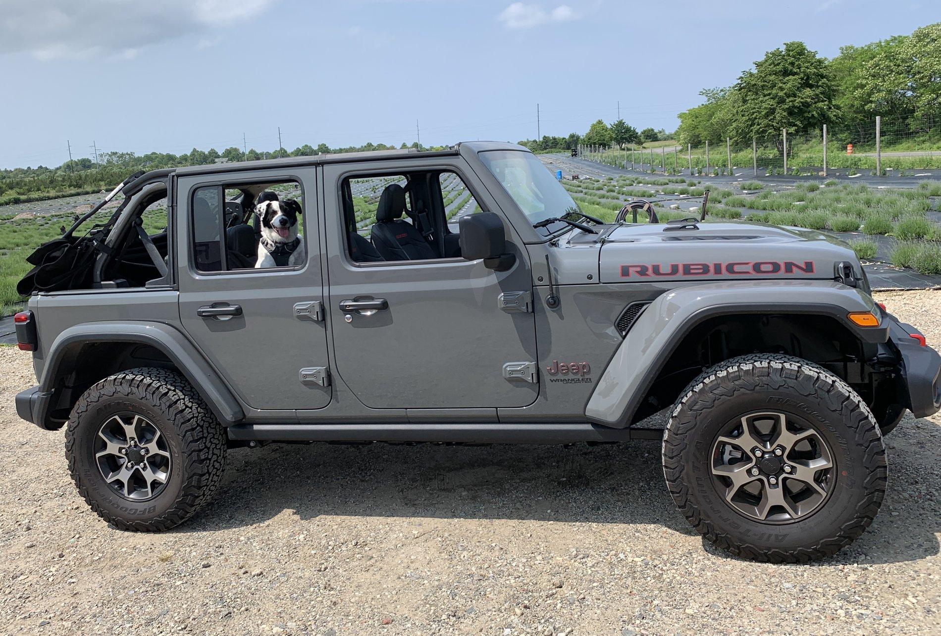 Jeep Wrangler JL Jeep Dog pics 35BE5D5A-7B67-449B-BC4D-0884A380291B