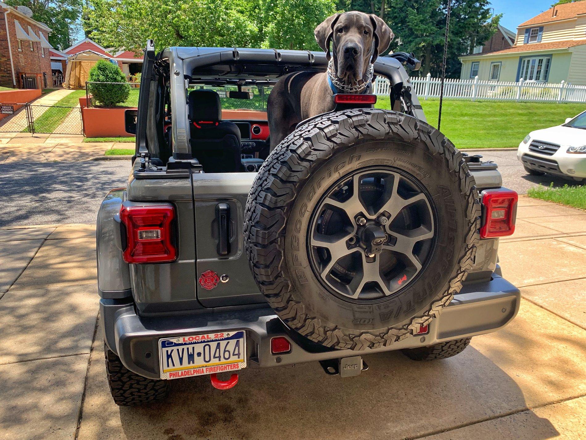 Jeep Wrangler JL Jeep Dog pics 07800B7A-4351-4D99-8453-5D30F15CE50C