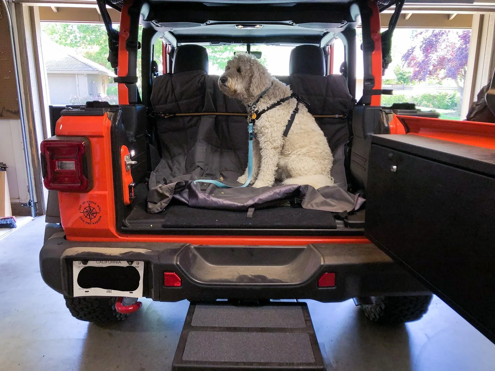 Jeep Wrangler JL Jeep Dog pics IMG_6715-2-X3