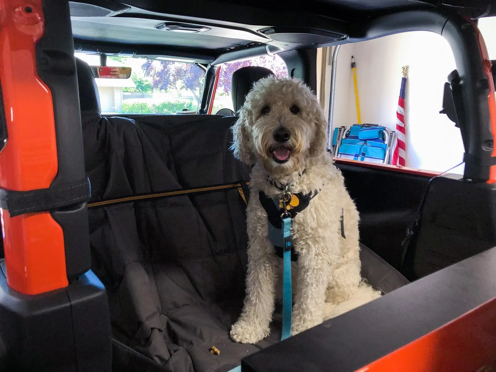 Jeep Wrangler JL Jeep Dog pics IMG_6716-2-X3