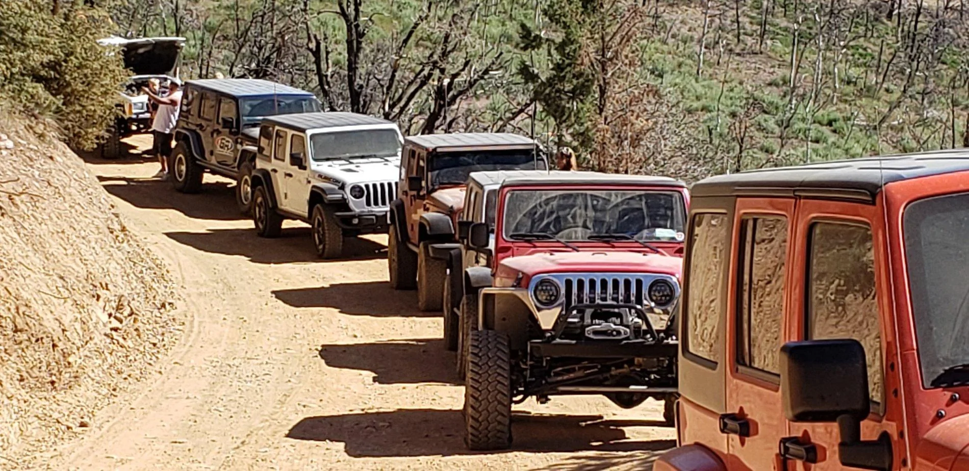 Jeep Wrangler JL 2019 Big Bear Forest Fest 20190615_093655