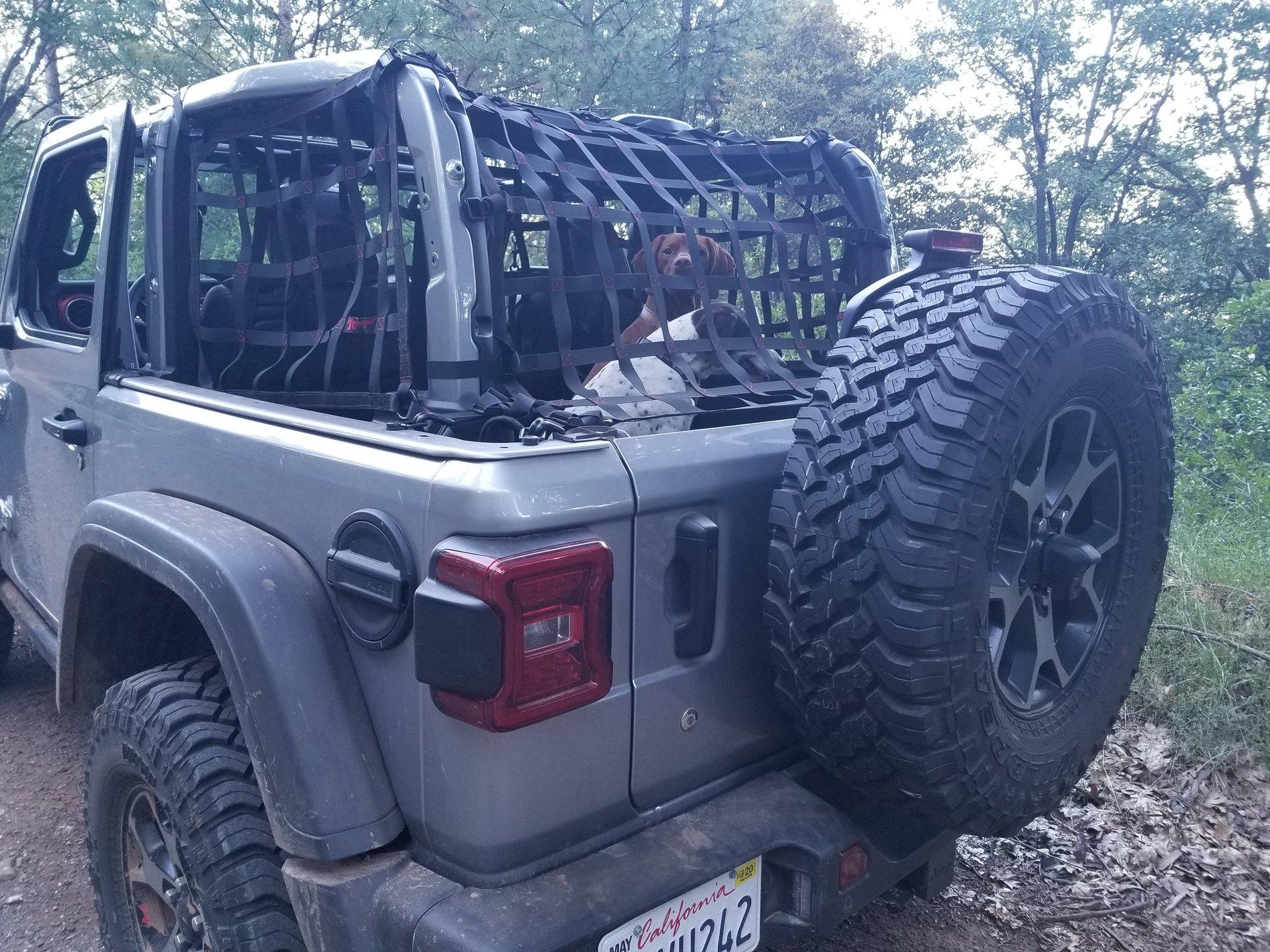 Jeep Wrangler JL Raingler side and top nets installed 20190606_191756