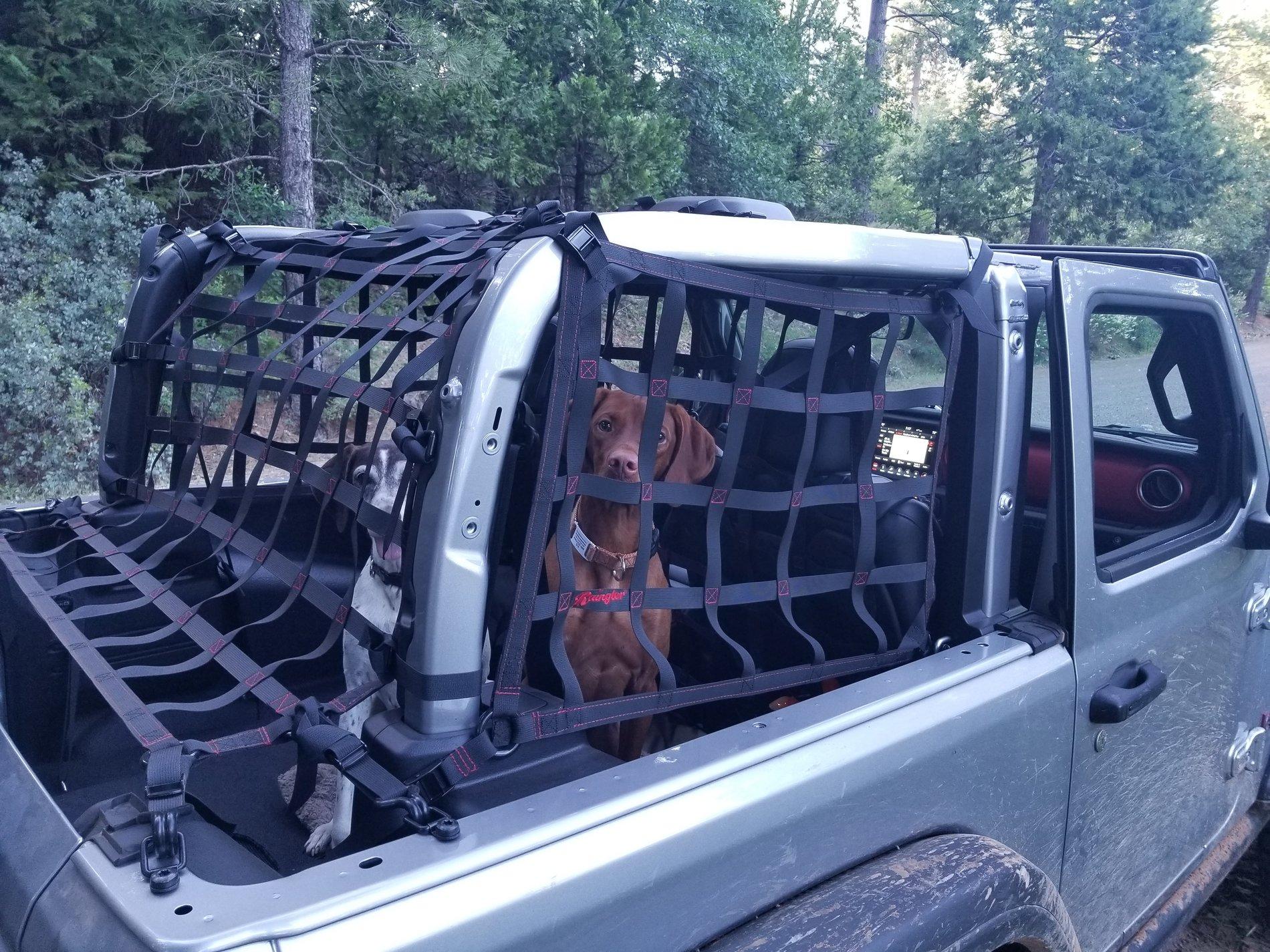 Jeep Wrangler JL Raingler side and top nets installed 20190606_191744