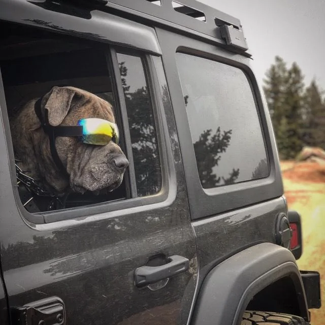 Jeep Wrangler JL Jeep Dog pics 64996620_537266846803603_570973618050170880_n
