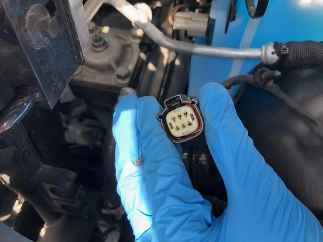 Jeep Wrangler JL MOPAR LED FACTORY UPGRADE KIT IMG_4535