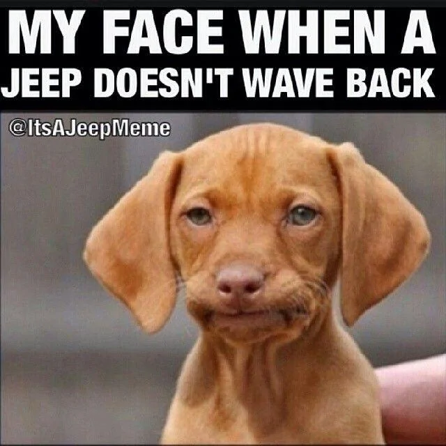 Jeep Wrangler JL Jeep wave at Gladiators? jeep wave 1