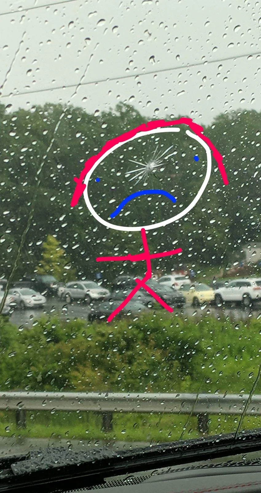 Jeep Wrangler JL Cracked Windshield Club Snapchat-1127711414
