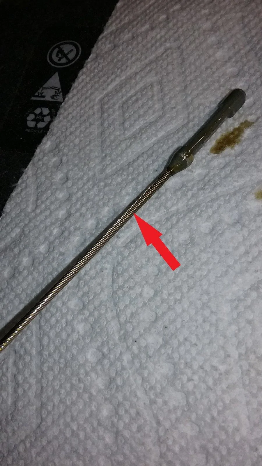 oil4.webp