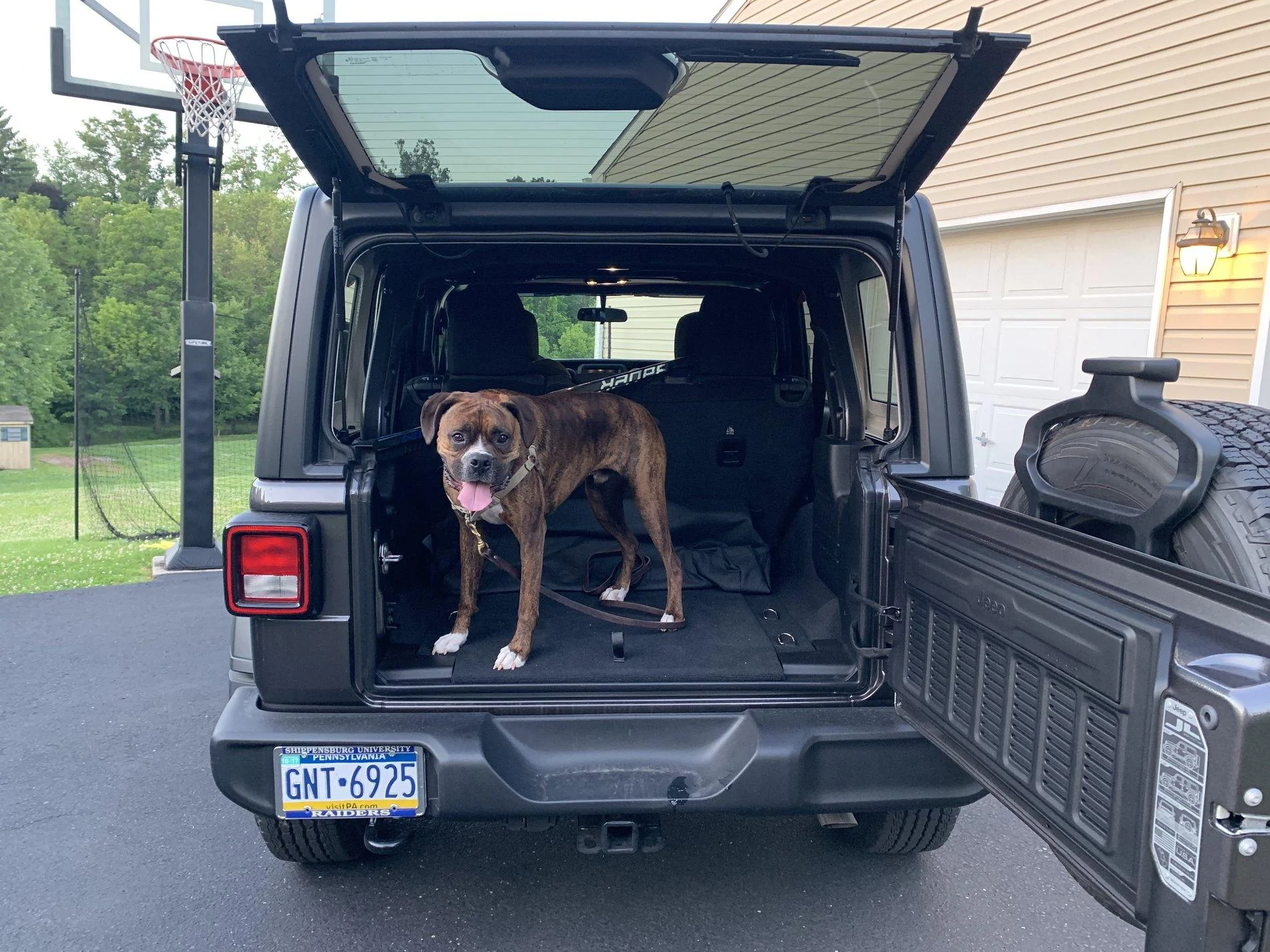 Jeep Wrangler JL Jeep Dog pics 1A40F69D-8CB6-4D99-9CC8-5ACFEE499926