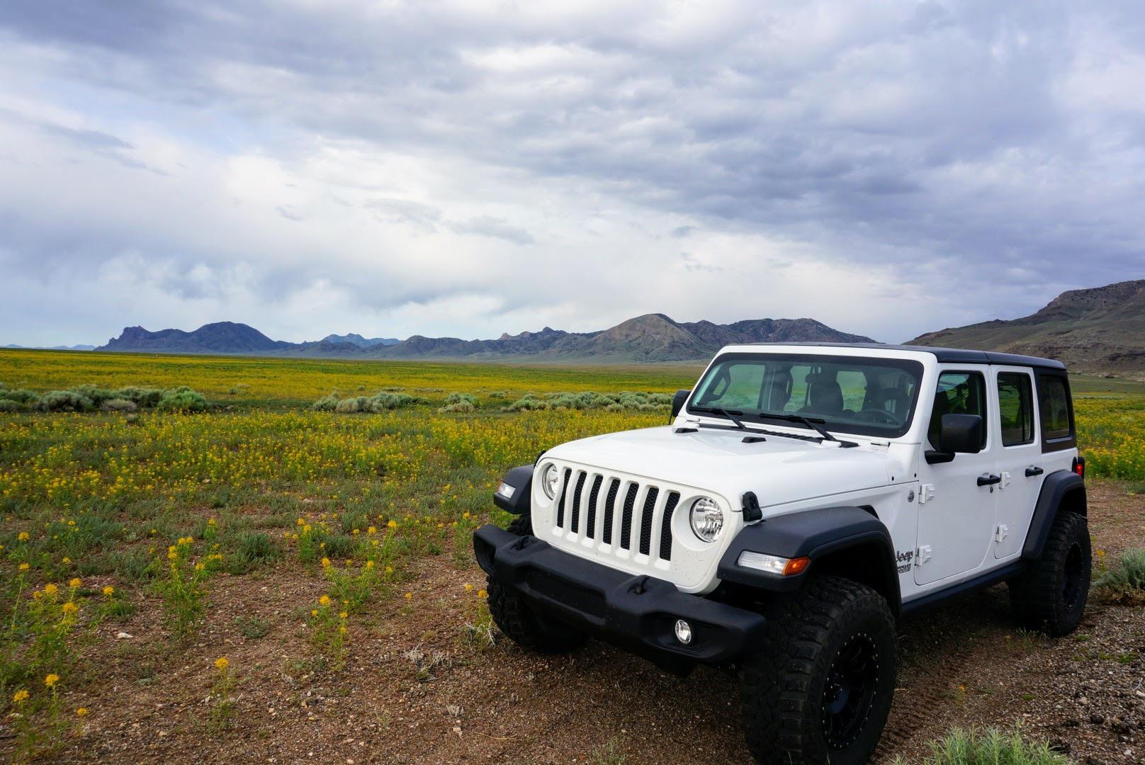 Jeep Wrangler JL July 4th week - Post Your Pics! C79A8651-E2DD-471C-A7CC-E190F3763A8D