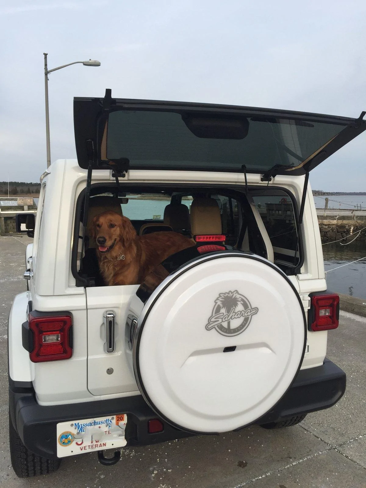 Jeep Wrangler JL Jeep Dog pics SandieJ