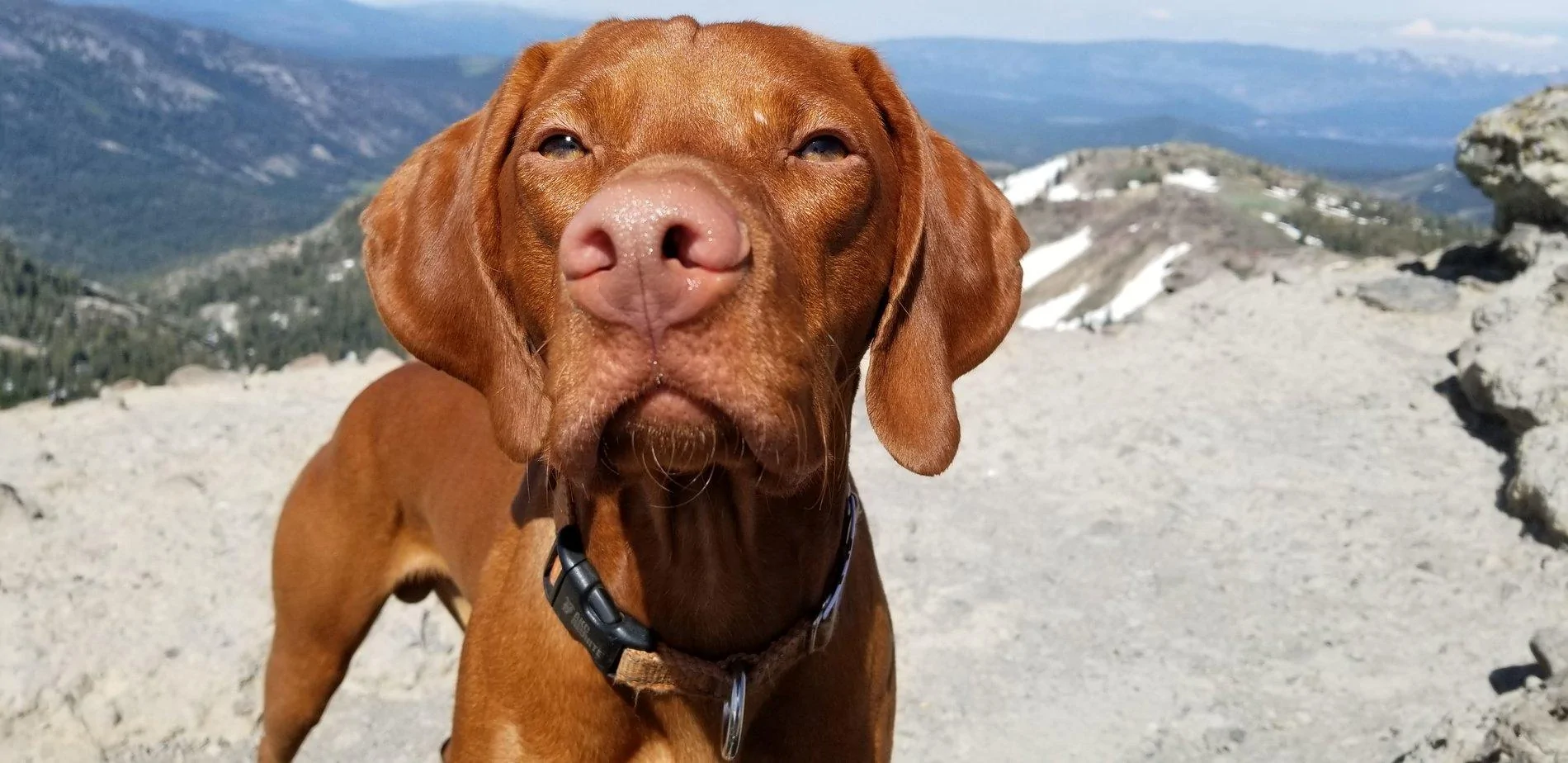 20190706_161436.webp