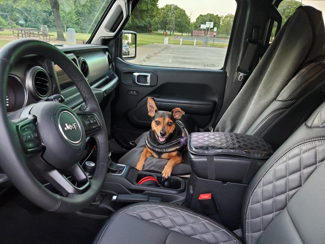 Jeep Wrangler JL Jeep Dog pics roscoe jee