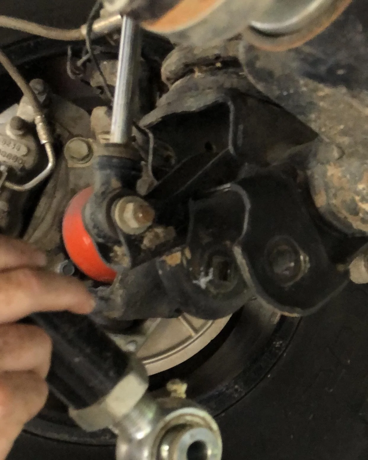 Jeep Wrangler JL What did you do TO your Jeep JL today? 6E0F6BA7-B71D-4411-9C8B-0E0E233DA2B1
