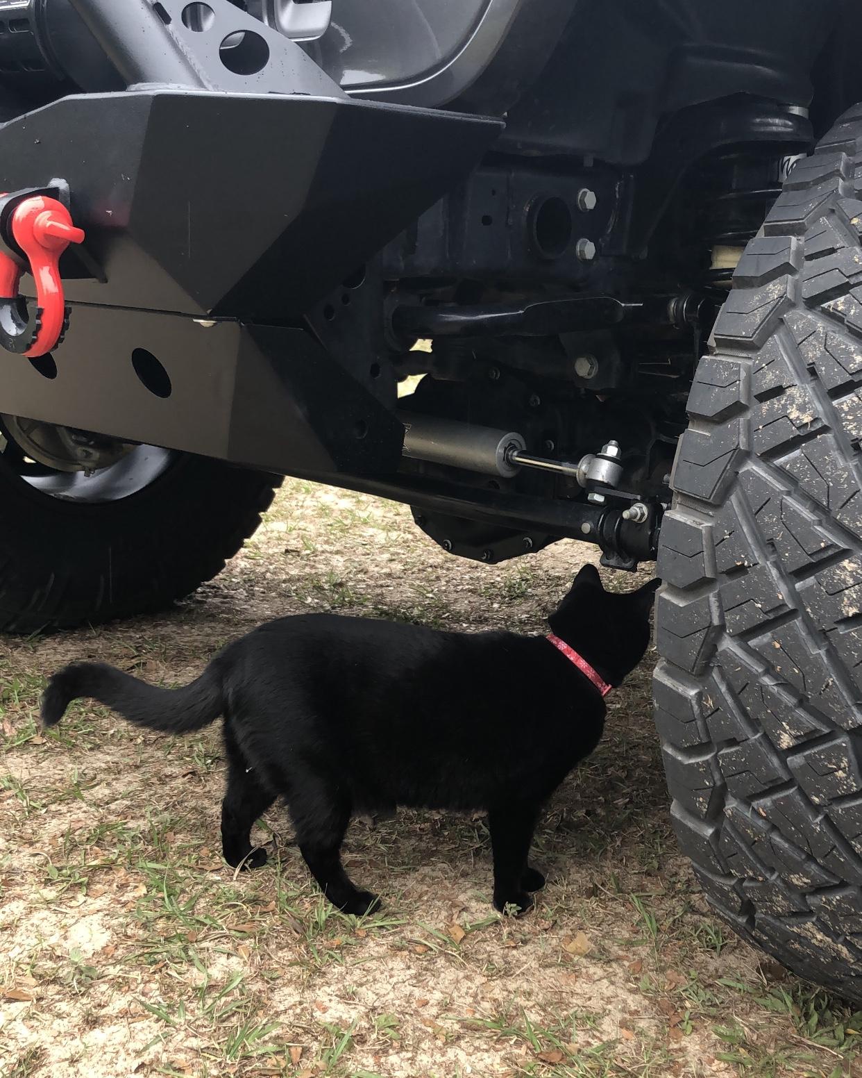 Jeep Wrangler JL What did you do TO your Jeep JL today? 21BC37D1-D6DA-4F97-B413-6935A84ABD59