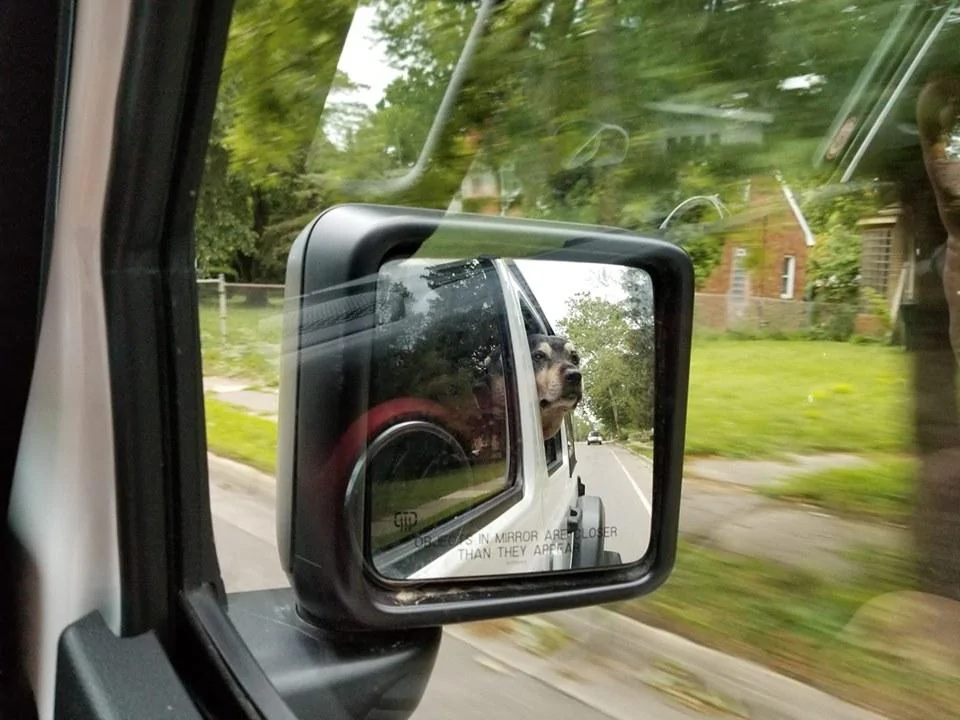 Jeep Wrangler JL Jeep Dog pics lUW9Ut3yKBJP1wNDadBECxUOJUkUnw4OBDAsfI3uYW7qgj1s1fQB8pwgE1JfI9NSaGHNr2z8&_nc_ht=scontent.fdet