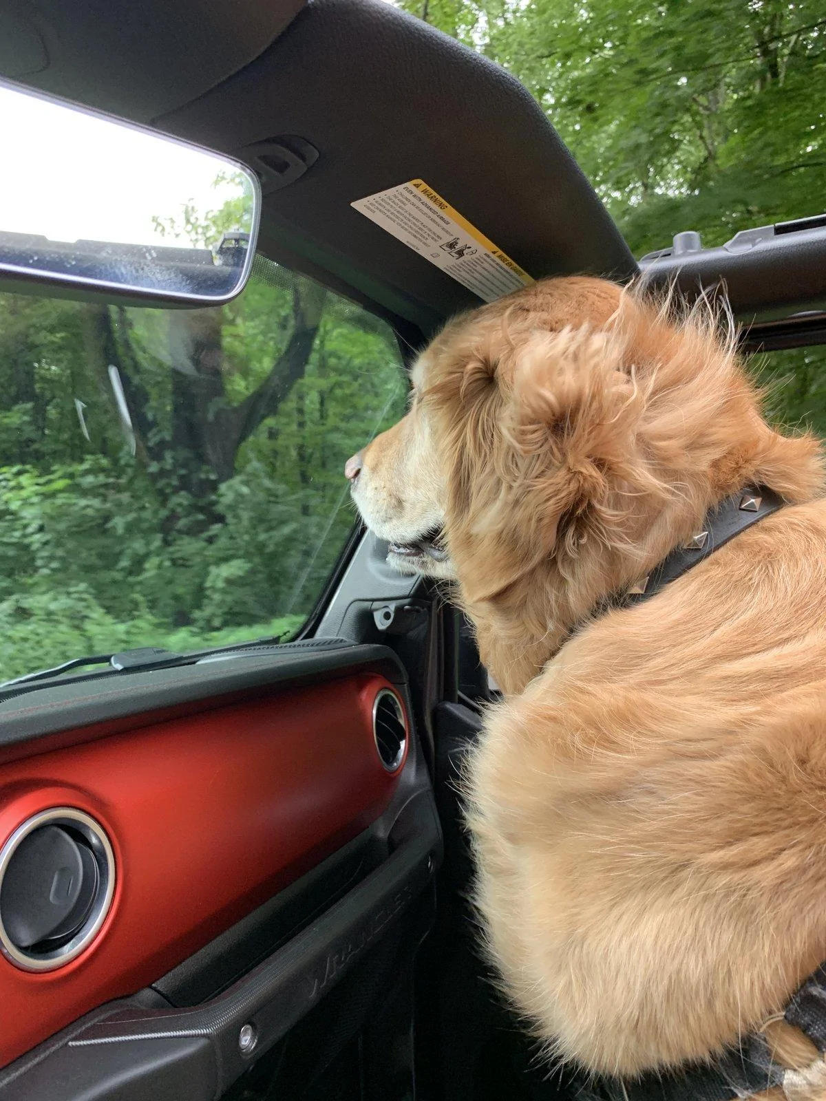 Jeep Wrangler JL Jeep Dog pics 41E20214-81D3-42A8-8C06-A29ABDBB8F2E